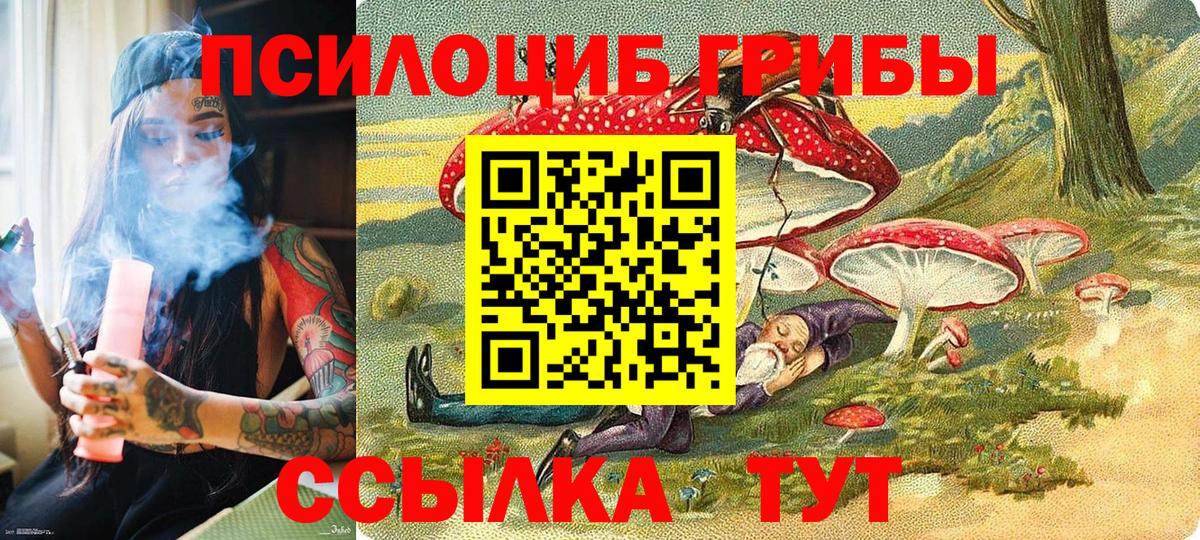 Галлюциногенные грибы Psilocybine cubensis Чистополь