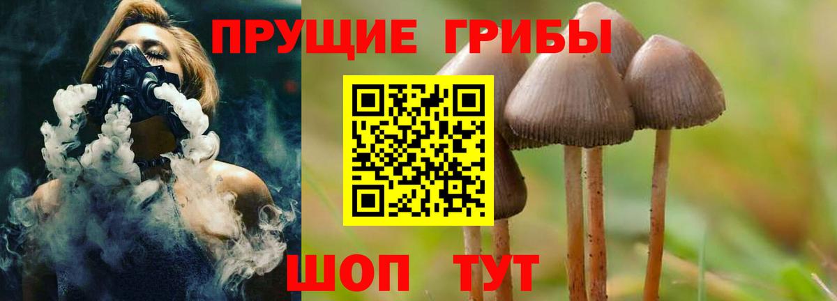 Псилоцибиновые грибы ЛСД  Вход с VPN  Чистополь 